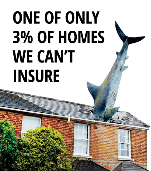 Homeprotect advert - shark sticking from the roof of a house - one of only 3% of homes we can't insure