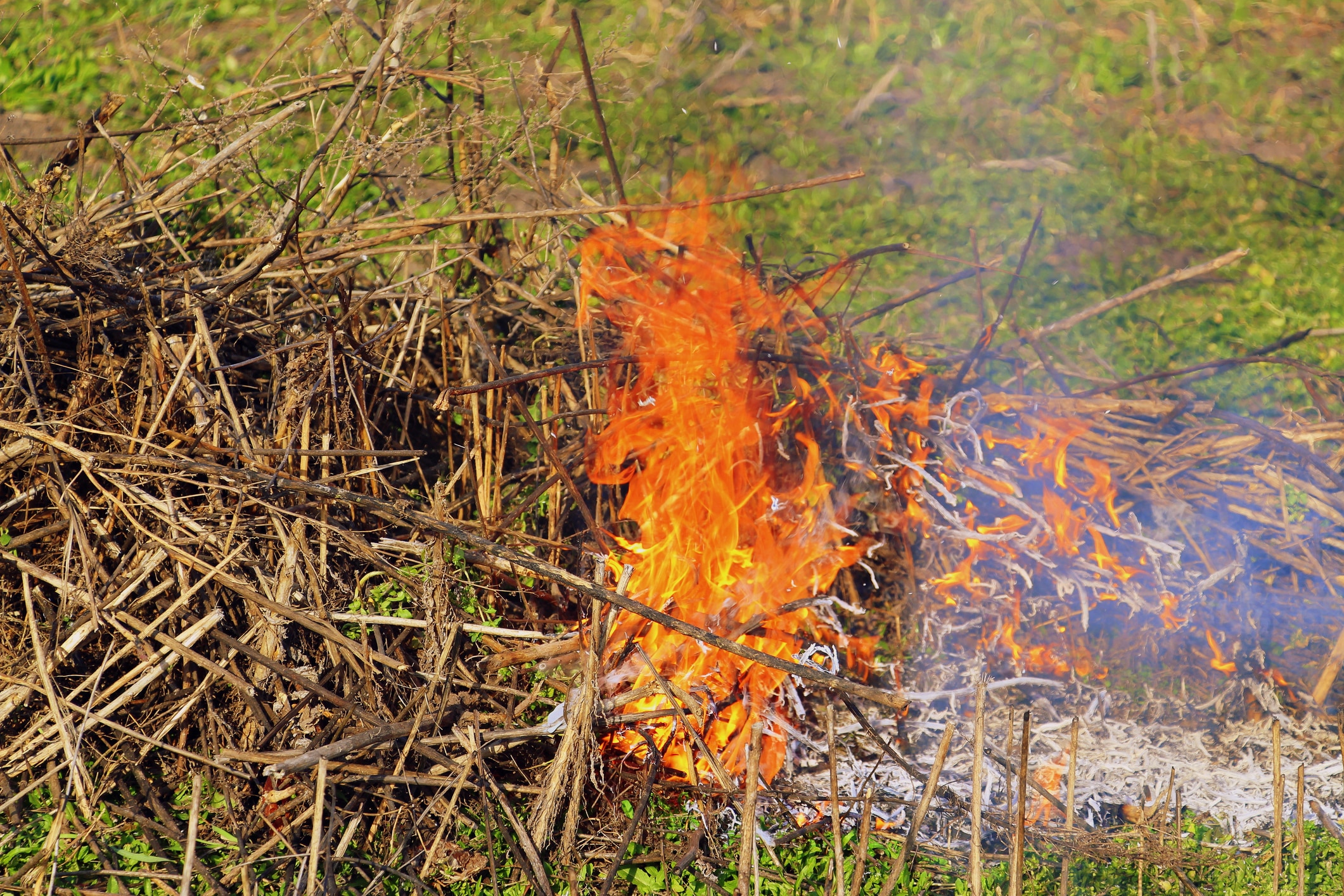 Garden fire